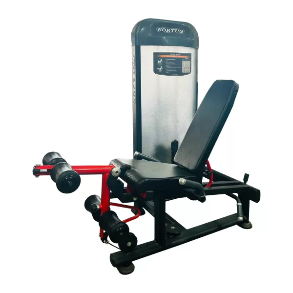 LEG CURL LYING-EXTN